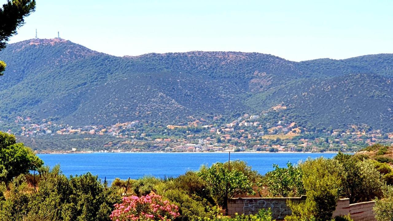 Deluxe Apartment Near The Airport Adults Only Porto Rafti Exterior photo